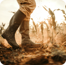 Botte d'agriculteur dans un champs