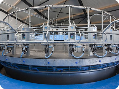 Platefrome revolution