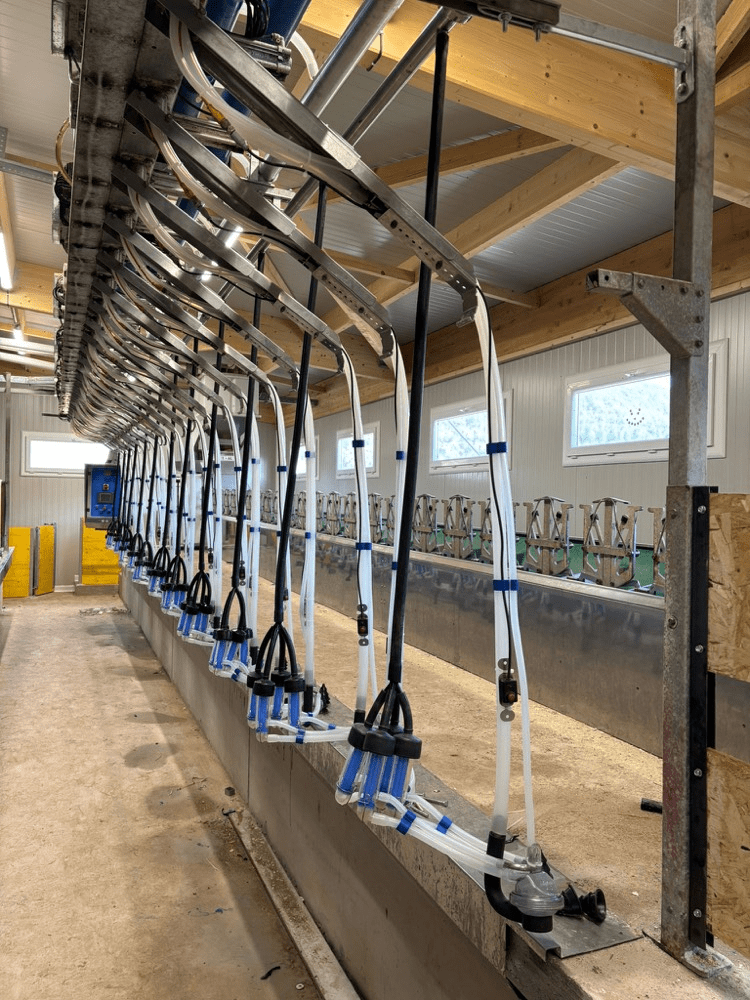 Samme de traite ovins chez un de nos clients au Calmels et le Viala