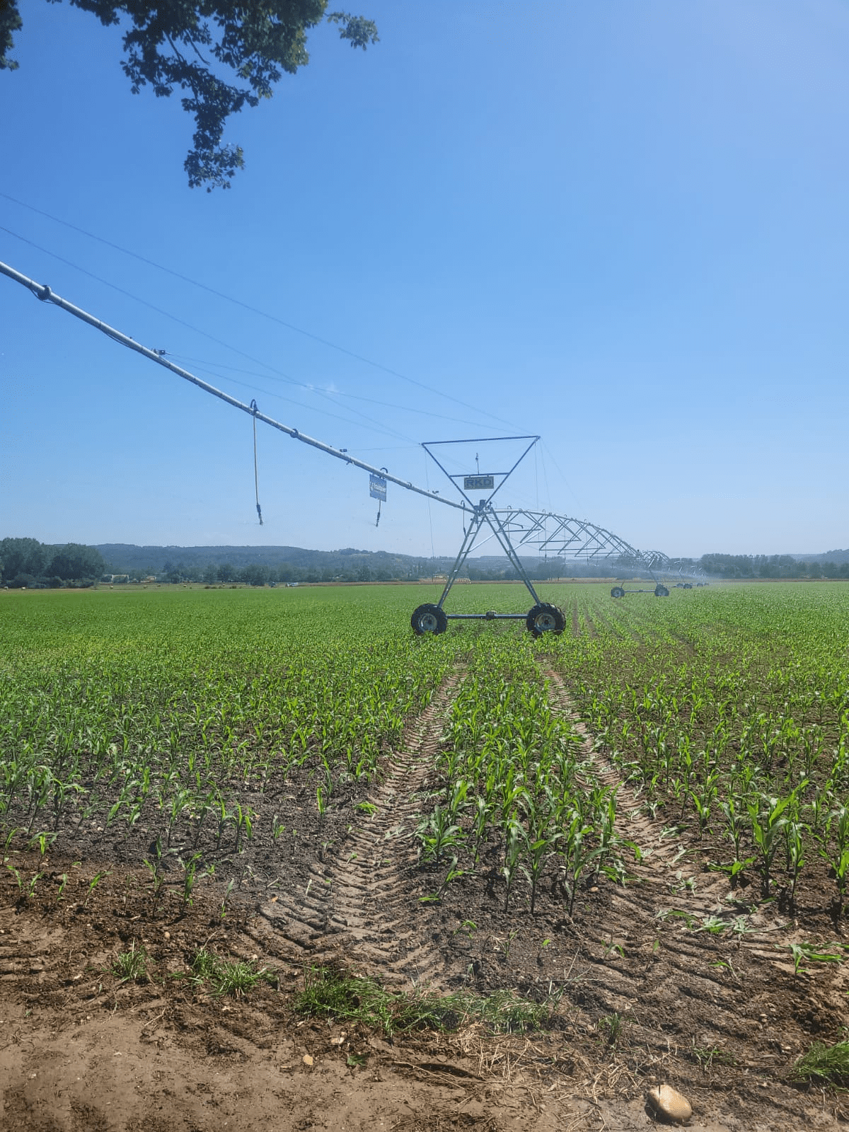 Pivot RKD chez un de nos clients à Guitalens